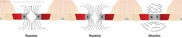 Figure 10-8. Repulsion and attraction of magnet poles.