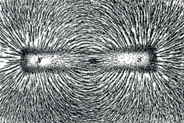 Figure 10-28. Magnetic field pictured through the pattern of iron filings.